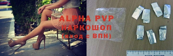 индика Осинники