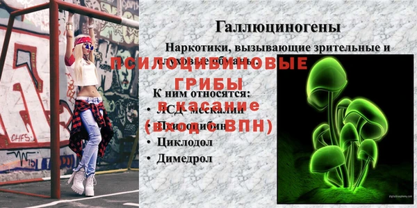 ГАЛЛЮЦИНОГЕННЫЕ ГРИБЫ Аша