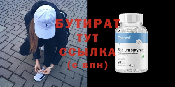 индика Осинники