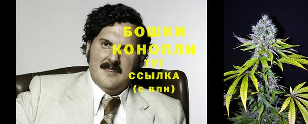 индика Осинники