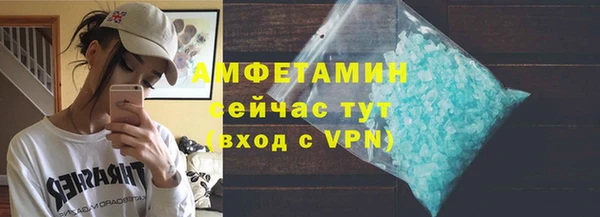 индика Осинники