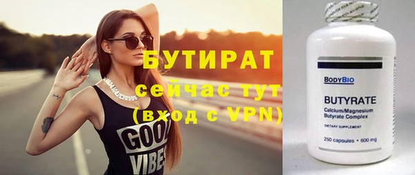 индика Осинники