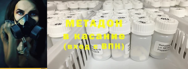 индика Осинники