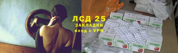 ГАЛЛЮЦИНОГЕННЫЕ ГРИБЫ Аша
