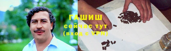 индика Осинники