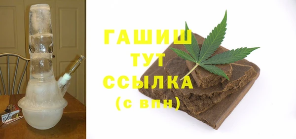индика Осинники