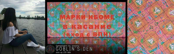 индика Осинники