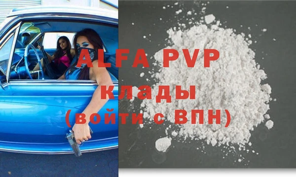 индика Осинники