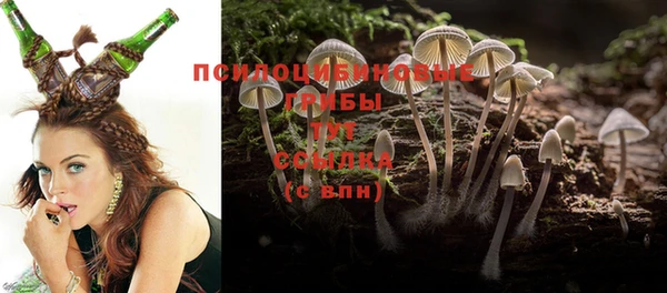 индика Осинники