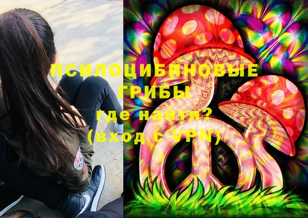 МДПВ Осташков