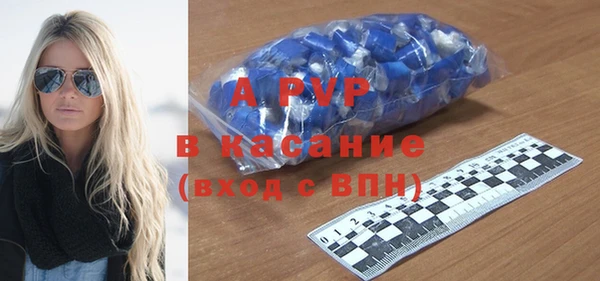индика Осинники