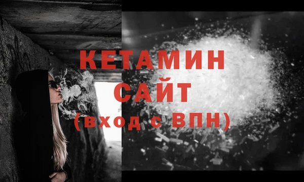 индика Осинники