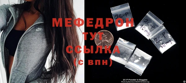индика Осинники