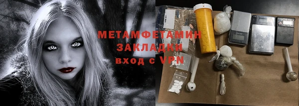 индика Осинники
