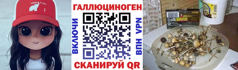 Галлюциногенные грибы мицелий  МЕГА зеркало  Купино 